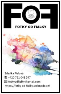 fotky od fialky logo